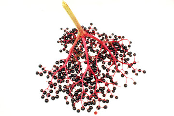 Elderberries