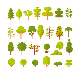 illustration of a set  isolated trees and shrubs on  white background in  flat style