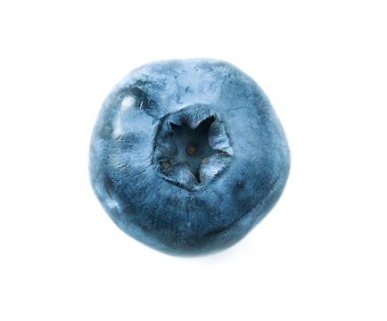 One blueberry on the white