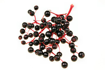 Black elderberry