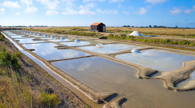Marais salants de France