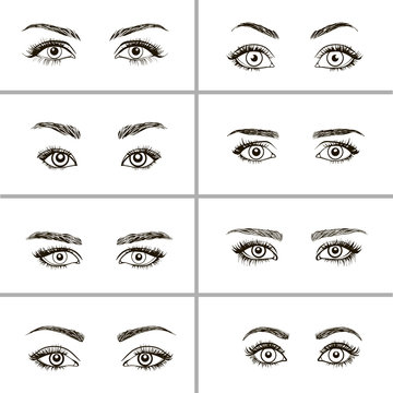 set of different types of eyes.