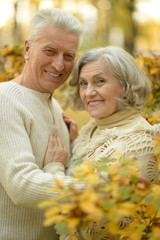 Senior couple in autumn park