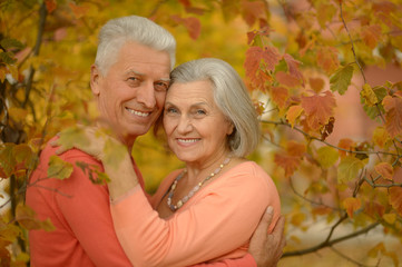Fototapeta premium Senior couple in autumn park