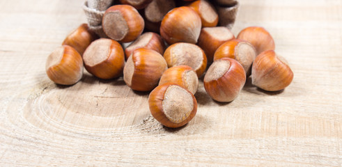 Hazelnuts close up.