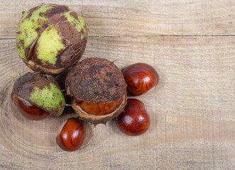 Chestnut on a wooden table