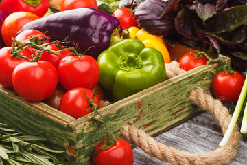 Set of vegetables in the tray
