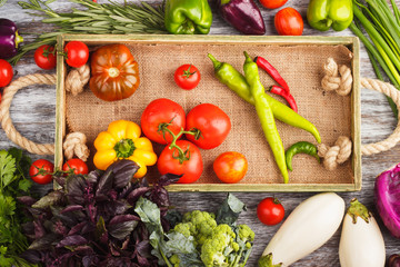 Set of vegetables in the tray