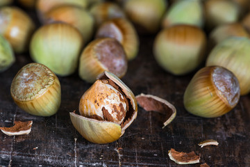 Fresh cobnuts and a cracked nut on vintage wooden background