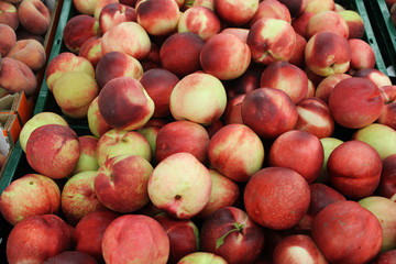 nectarines blanches