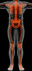 man's body under X-rays. bones are highlighted in red. 3D illustration.