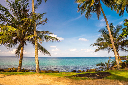 Beautiful tropical island beach with coconut palm tree - Travel summer vacation concept.
