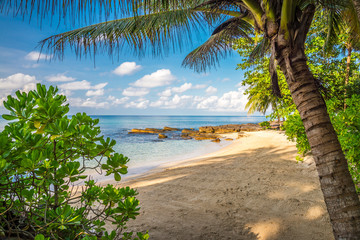 Obraz premium Beautiful tropical island beach summer holiday - Travel summer vacation concept.