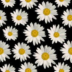 Seamless pattern with daisy flowers - 118737833