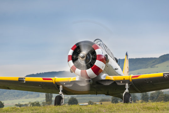 Warbird