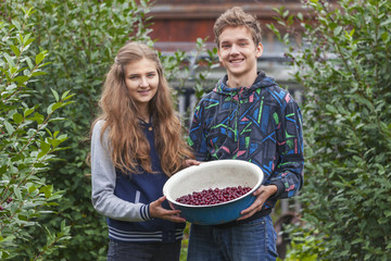 Couple teenagers collect cherries