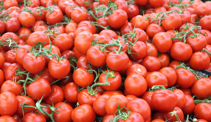 tomates