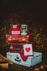 old suitcase scenery outdoors