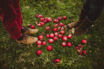 red apples and legs couples, top view