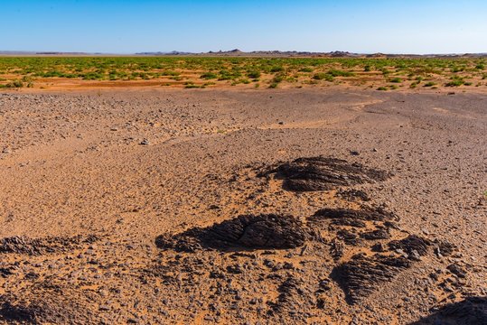 Roter Sand, Steine und Saxaul Sträucher in der Wüste Gobi