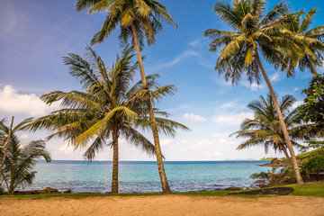 Obraz na płótnie Canvas Beautiful tropical island beach with coconut palm trees - Travel summer vacation concept