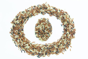 Rice Berry seed with oval eye