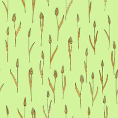 vector seamless pattern with of cartoon doodle wheat spikes