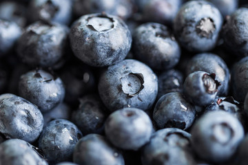 Blueberry closeup macro background