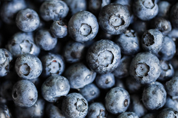 Blueberry closeup macro background © Oleg Breslavtsev