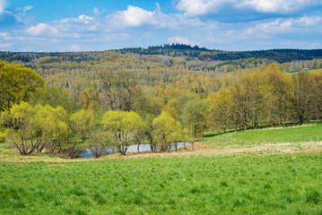 Landscape grass meadow pasture field pond lake river tree forest hill mountains spring scene