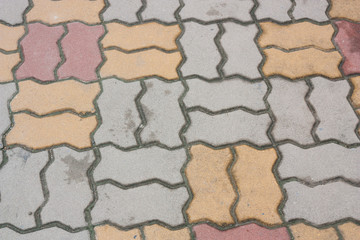 Close-up Brick worm or Bricklaying worm on the walkway, For background and textue.