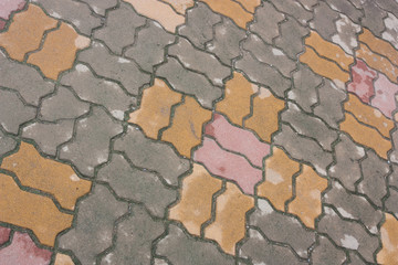 Brick worm or Bricklaying worm on the walkway, Shooting angle in obliquely.