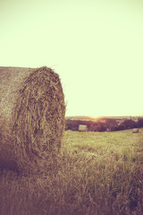 Strohballen auf einem Feld bei Sonnenuntergang.