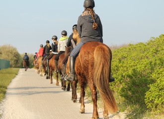 Reitergruppe auf Pferden von Hinten