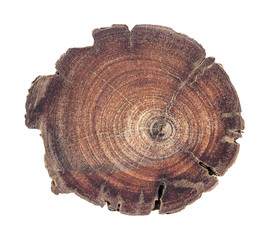 Stump on white background with clipping path