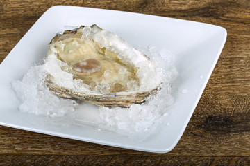 Fresh raw oyster