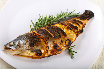 grilled trout