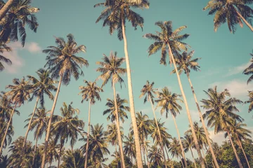Crédence de cuisine en verre imprimé Palmier Coconut palm tree in sunny day blue sky background - Tropical summer beach holiday concept.