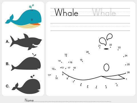 Connect dots and Match whale with shadow - Worksheet for education