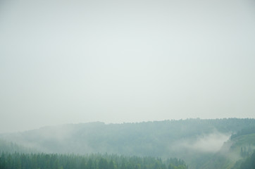 thick morning fog in the summer forest.