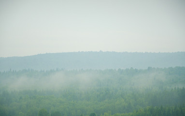 Naklejka na ściany i meble thick morning fog in the summer forest.
