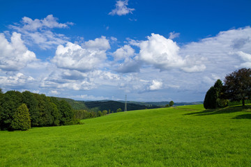 Grüne Natur