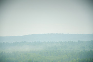 Naklejka na ściany i meble thick morning fog in the summer forest.