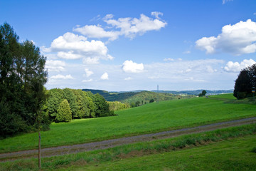 Naklejka premium Grüne Natur