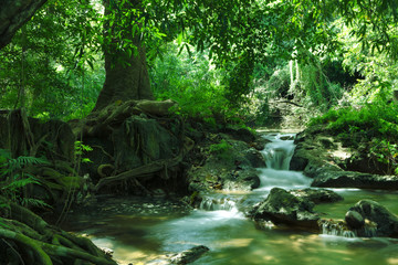 panorama view of nice waterfall and pond in green tropical environment