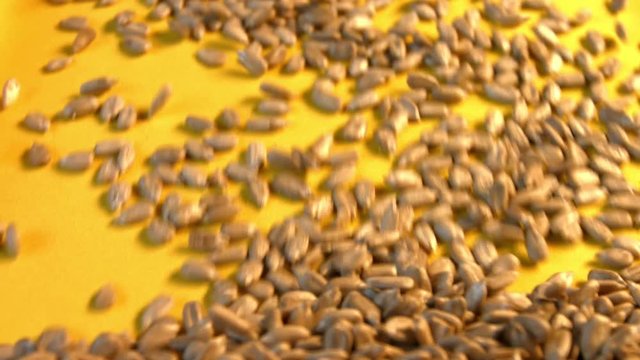 Shelled sunflower seeds on a yellow background. Slow motion. Close-up. Vertical pan. 2 Shots