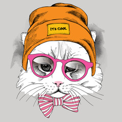 Cat portrait in a Hipster Hat and with glasses. Vector illustration.