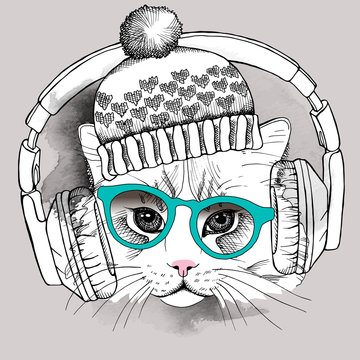 Image cat portrait in a hat and headphones. Vector illustration.