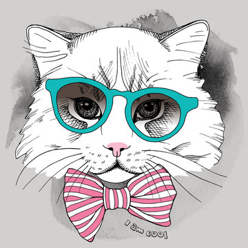 Image portrait cat in the glasses and with tie. Vector illustration.