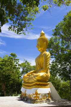 Buddha statue head in the natural park